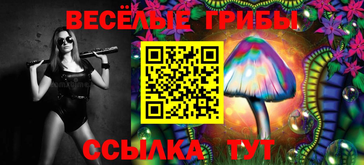 Кузнецк  Псилоцибиновые грибы Cubensis  Вход с VPN  Галлюциногенные грибы GOLDEN TEACHER 